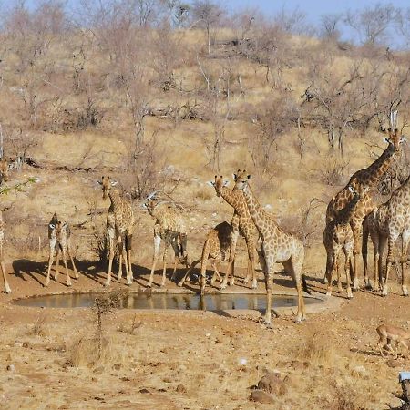 음비지 부시 로지 Grietjie Game Reserve 외부 사진