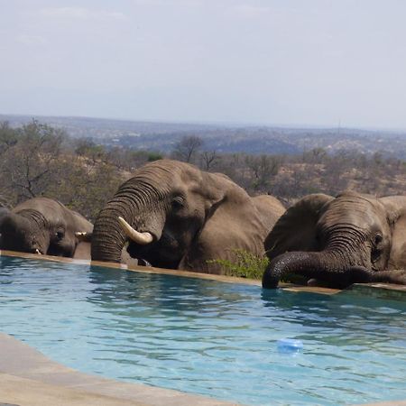 음비지 부시 로지 Grietjie Game Reserve 외부 사진