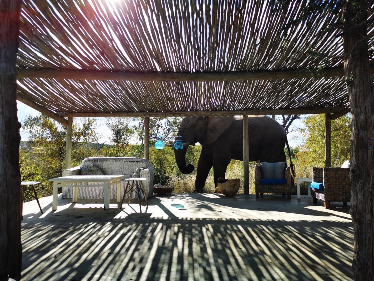 음비지 부시 로지 Grietjie Game Reserve 외부 사진