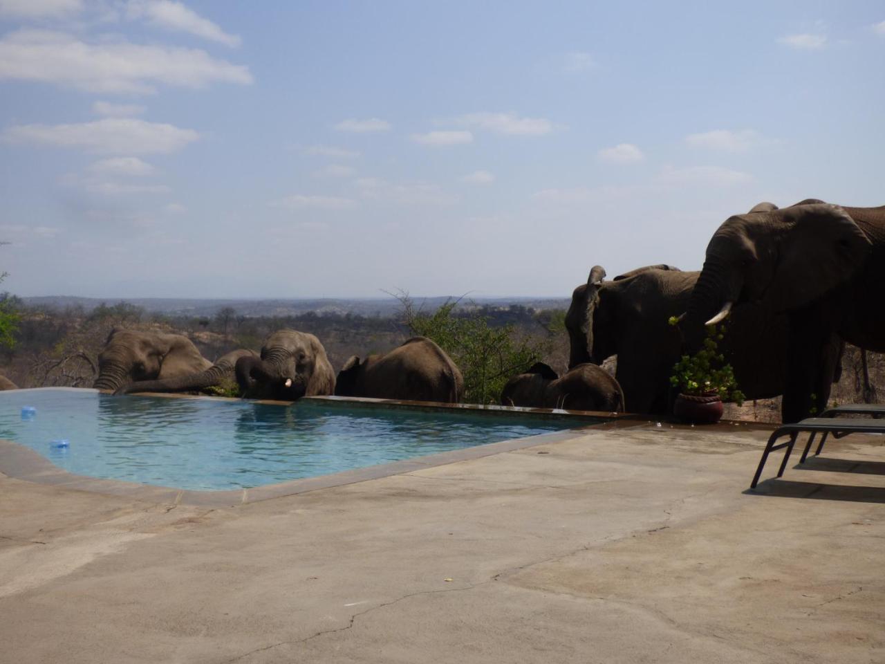 음비지 부시 로지 Grietjie Game Reserve 외부 사진