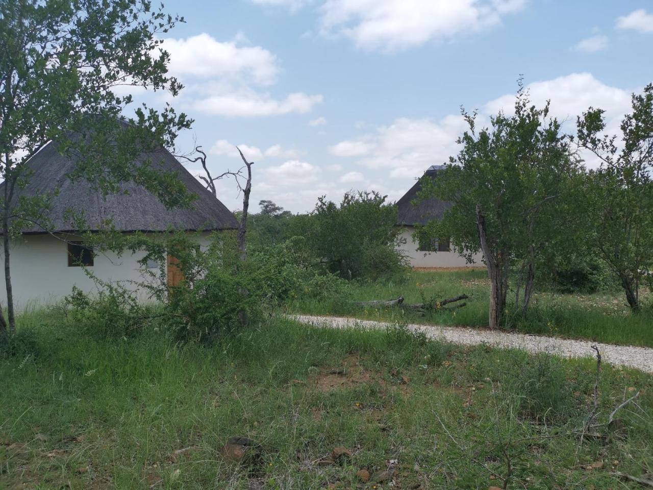 음비지 부시 로지 Grietjie Game Reserve 외부 사진