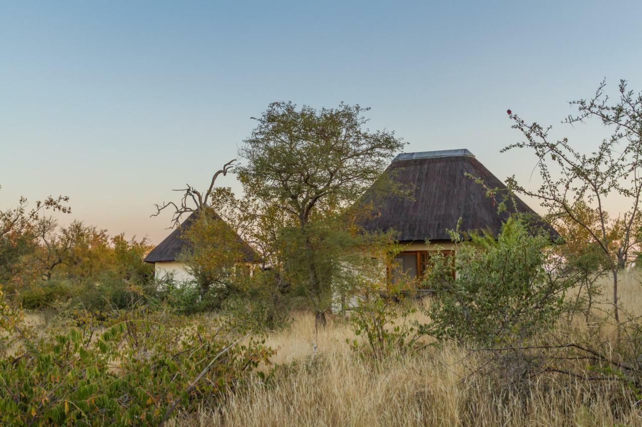 음비지 부시 로지 Grietjie Game Reserve 외부 사진