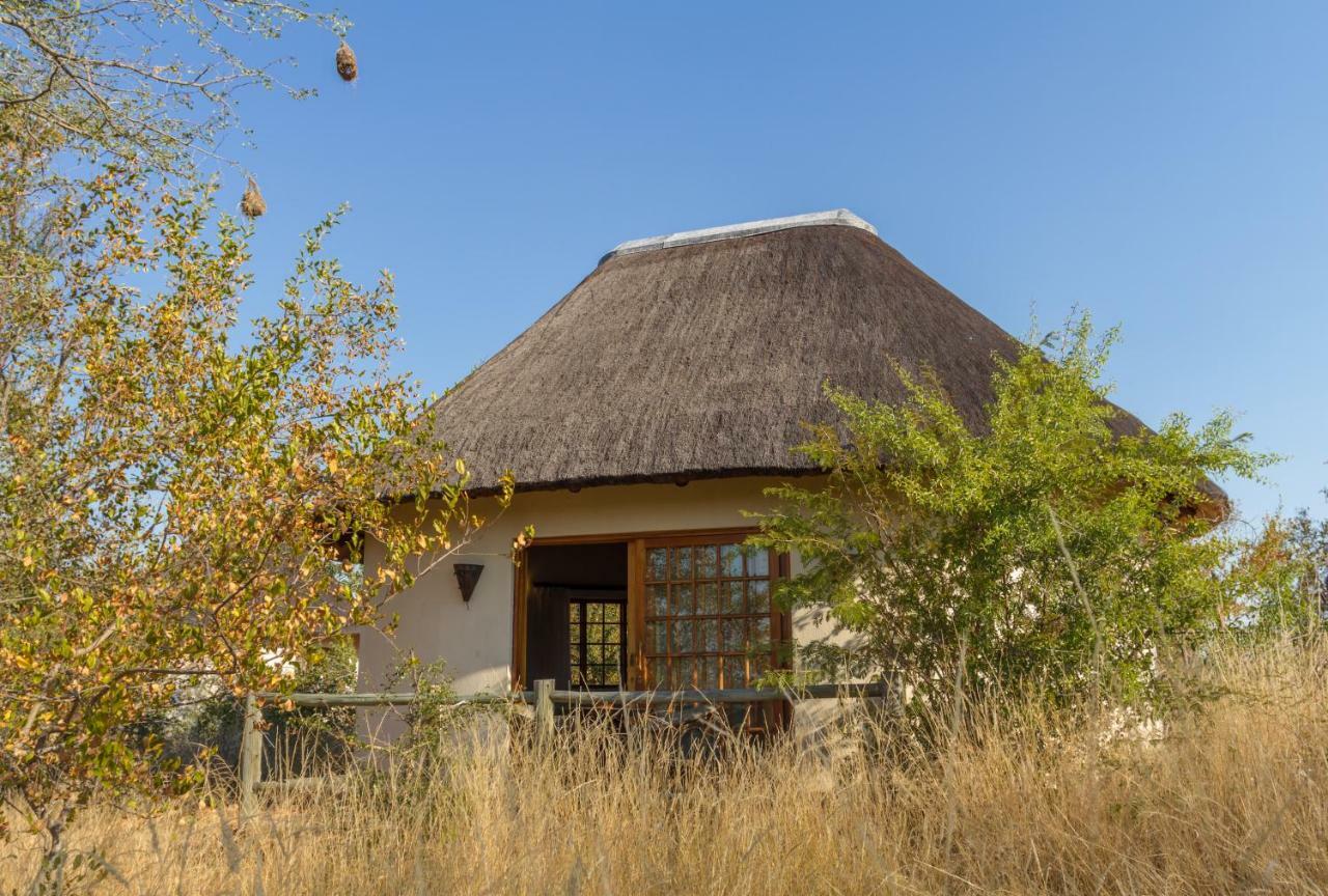 음비지 부시 로지 Grietjie Game Reserve 외부 사진
