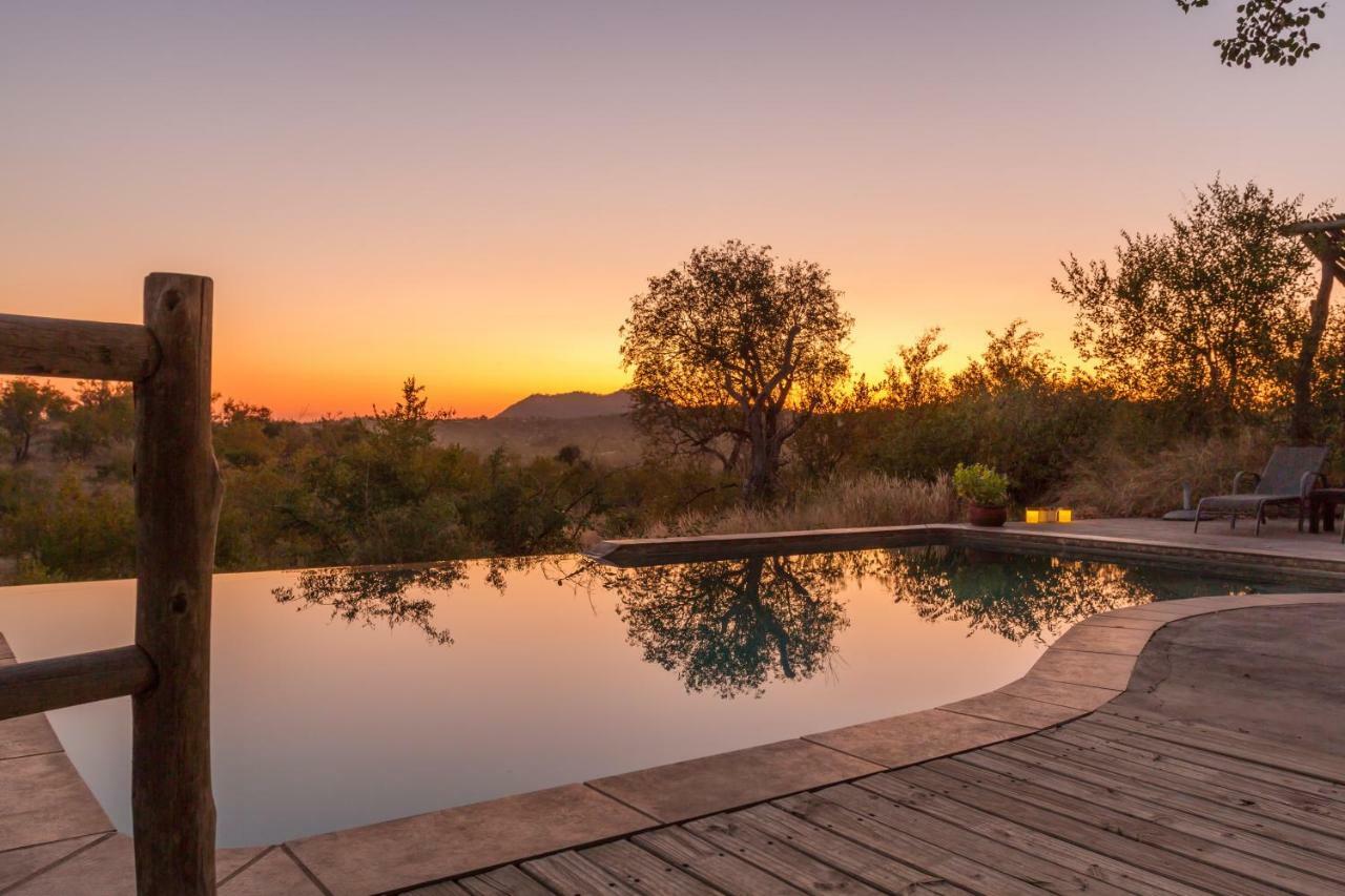 음비지 부시 로지 Grietjie Game Reserve 외부 사진