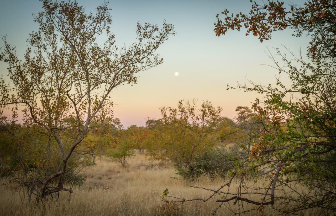 음비지 부시 로지 Grietjie Game Reserve 외부 사진