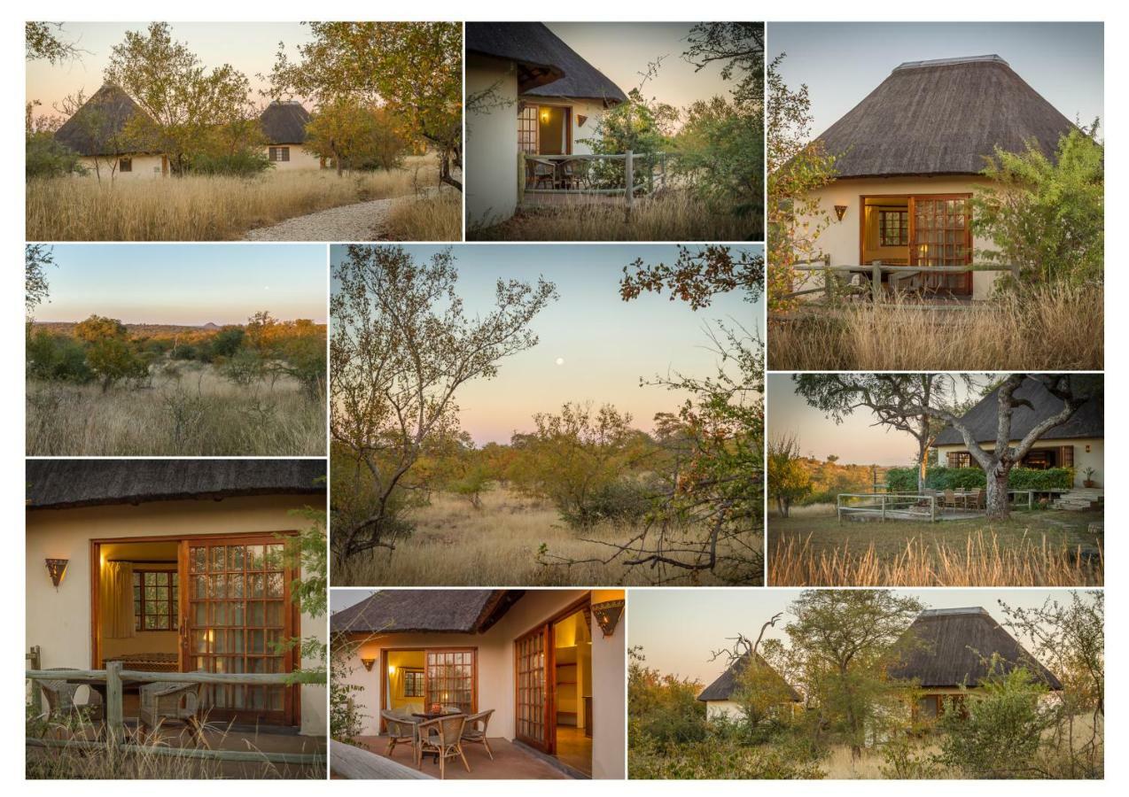 음비지 부시 로지 Grietjie Game Reserve 외부 사진